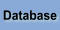 Database